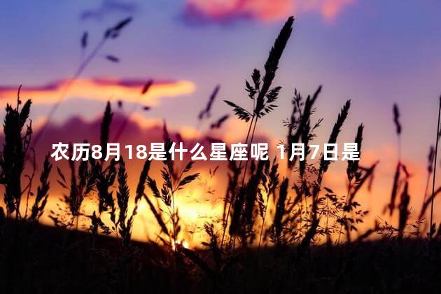 农历8月18是什么星座呢 1月7日是什么星座